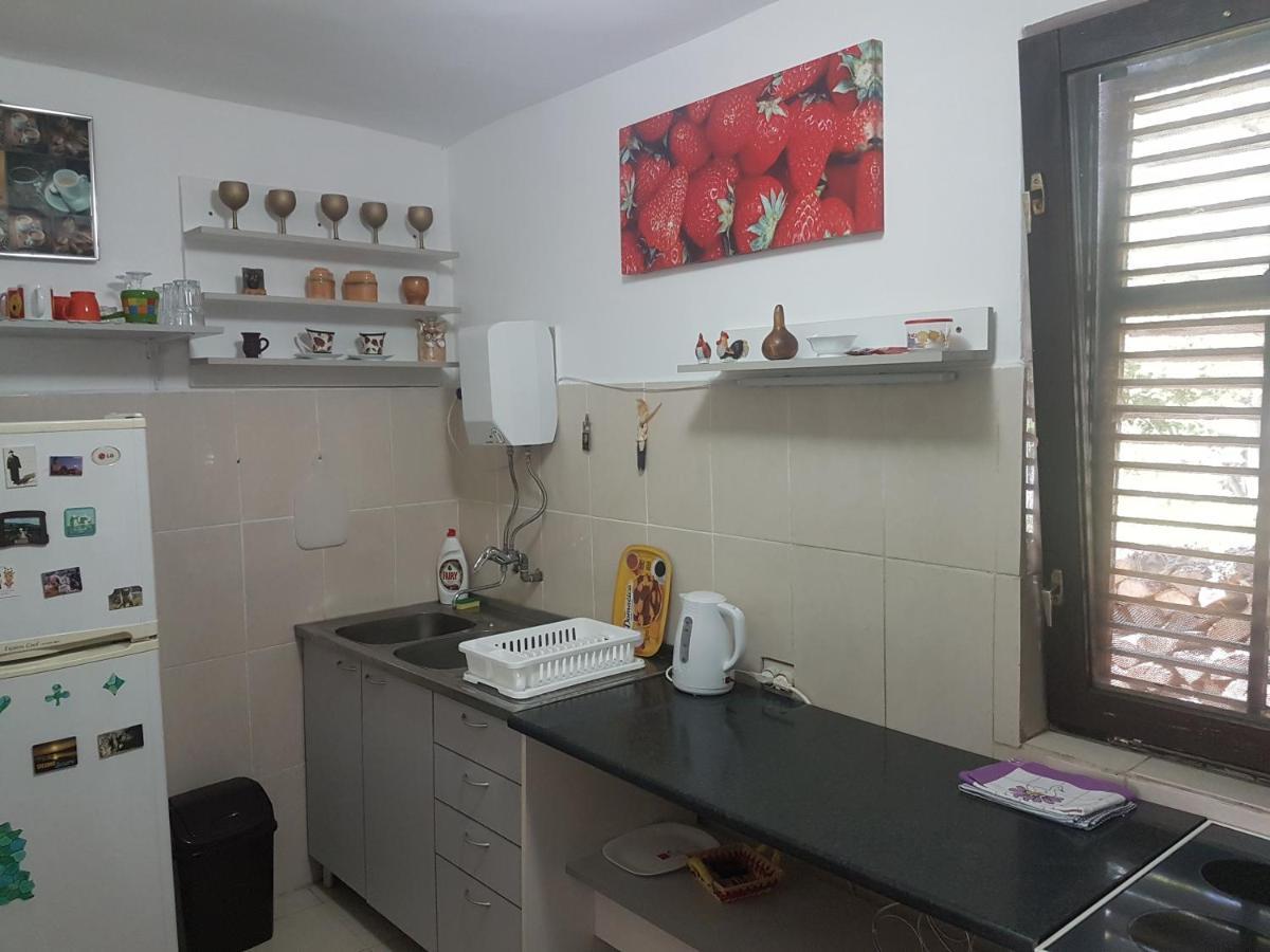 Przic House Apartment Неготин Екстериор снимка