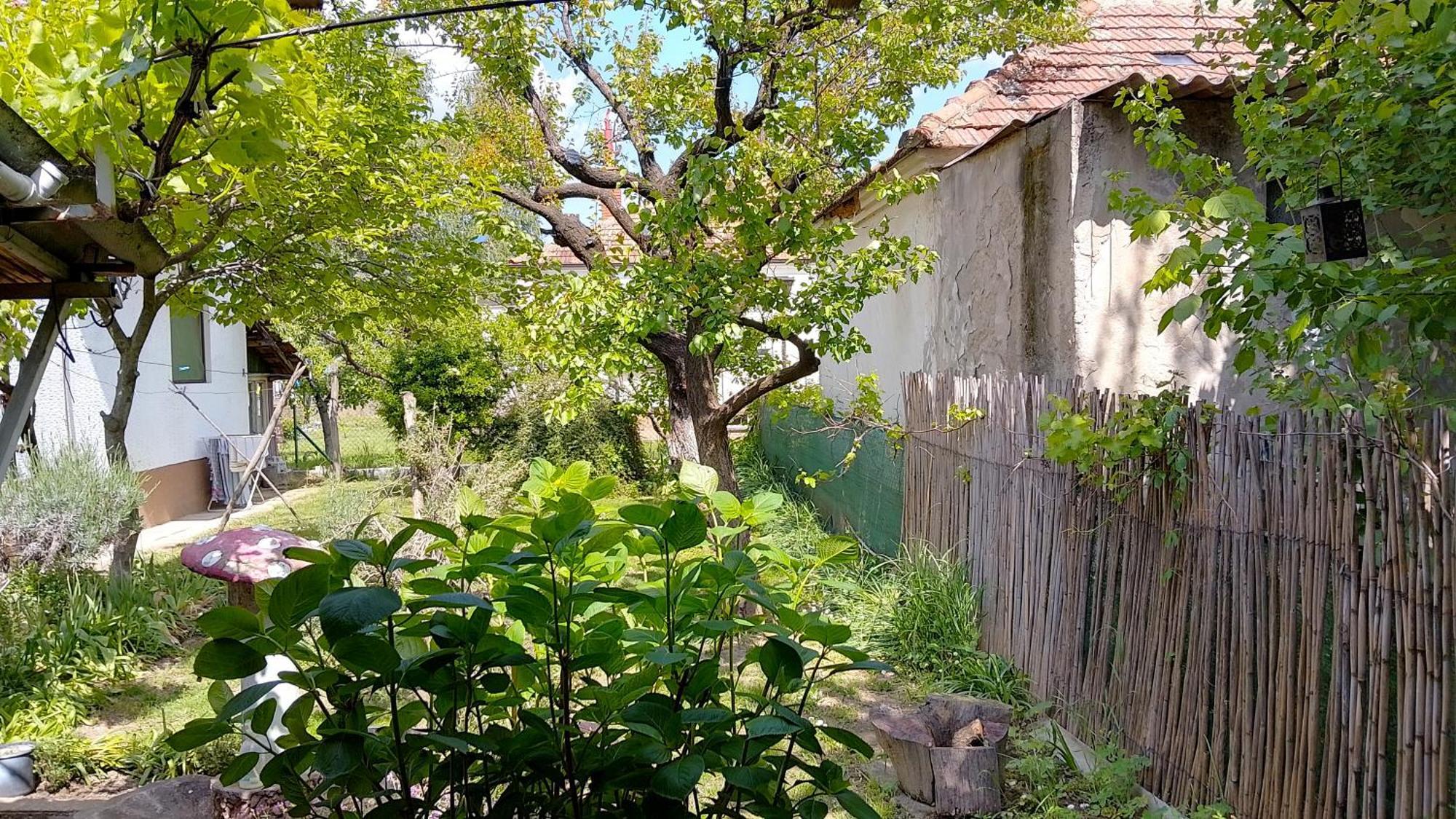 Przic House Apartment Неготин Екстериор снимка