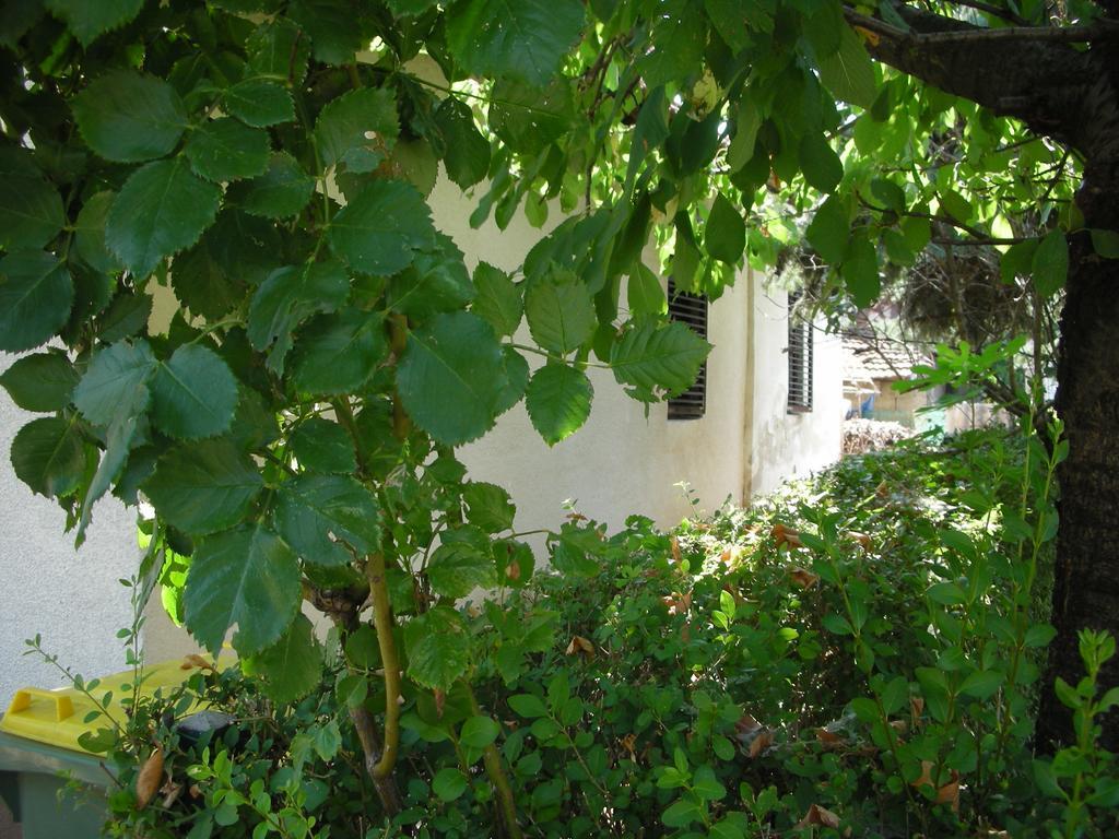 Przic House Apartment Неготин Екстериор снимка