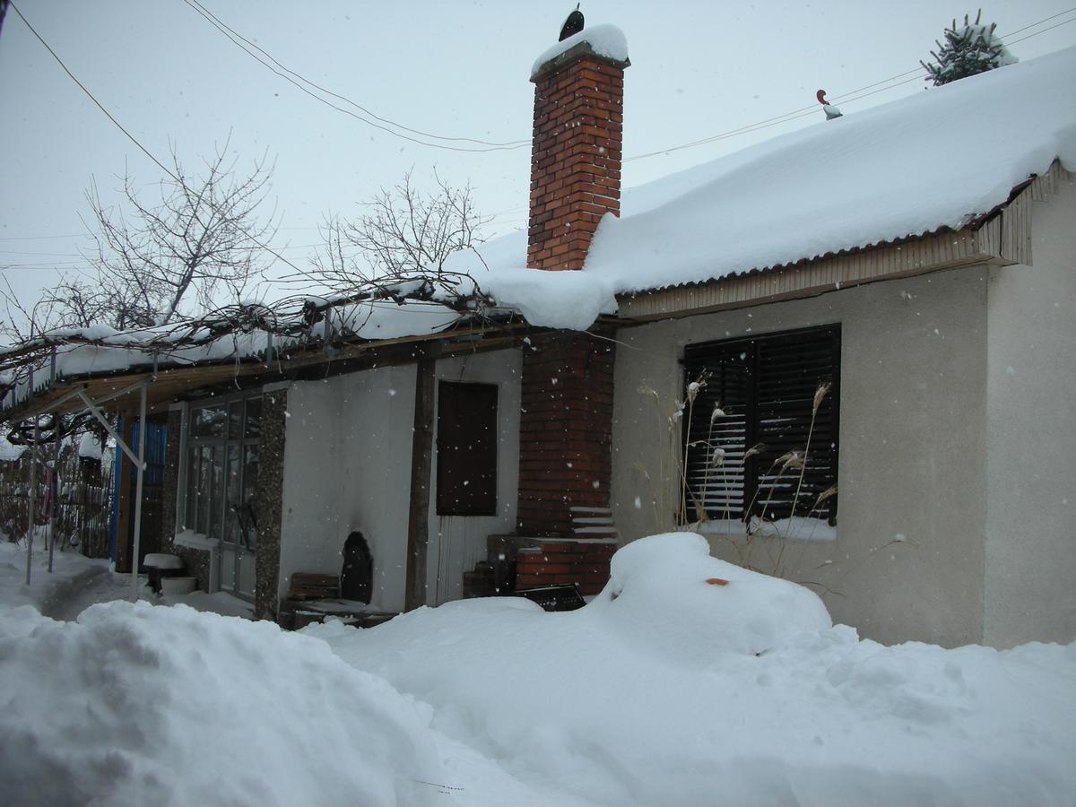 Przic House Apartment Неготин Екстериор снимка